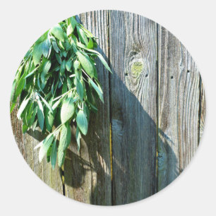 Fresh-cut Sage Barn-wood Classic Round Sticker