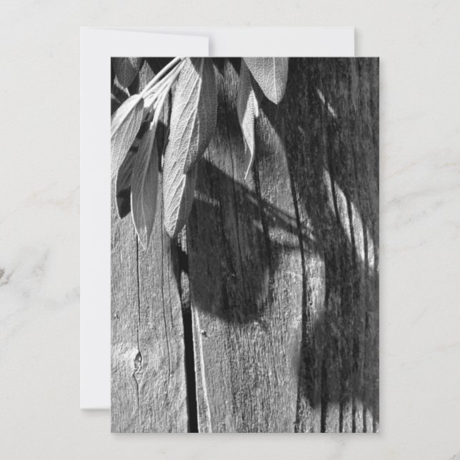 Fresh-cut Sage Barn-wood Grayscale (Front)