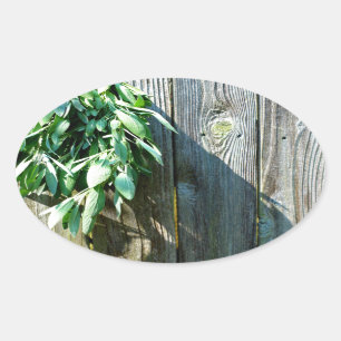Fresh-cut Sage Barn-wood Oval Sticker
