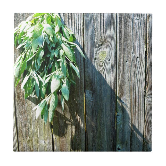 Fresh-cut Sage Barn-wood Tile (Front)