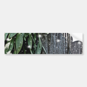 Fresh-cut Sage Barn-wood Twinkle Lights Bumper Sticker