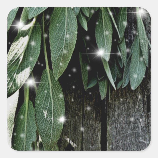 Fresh-cut Sage Barn-wood Twinkle Lights Square Sticker (Front)