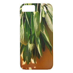 Fresh-cut Sage iPhone 8/7 Case