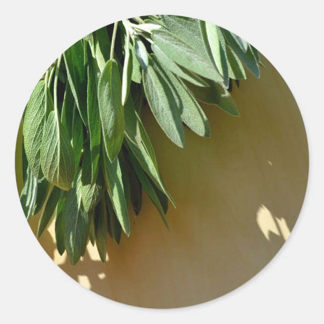 Fresh-cut Sage Classic Round Sticker (Front)