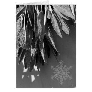 Fresh-cut Sage Grayscale