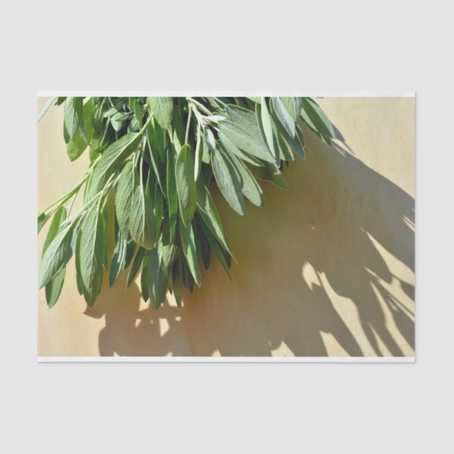 Fresh-cut Sage Tissue Paper (Front)