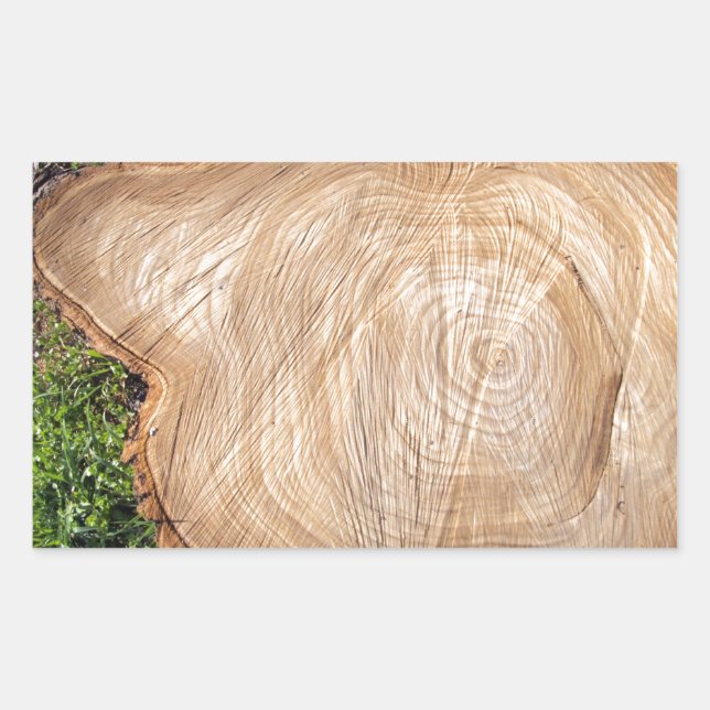Fresh cut tree stump rectangular sticker (Front)
