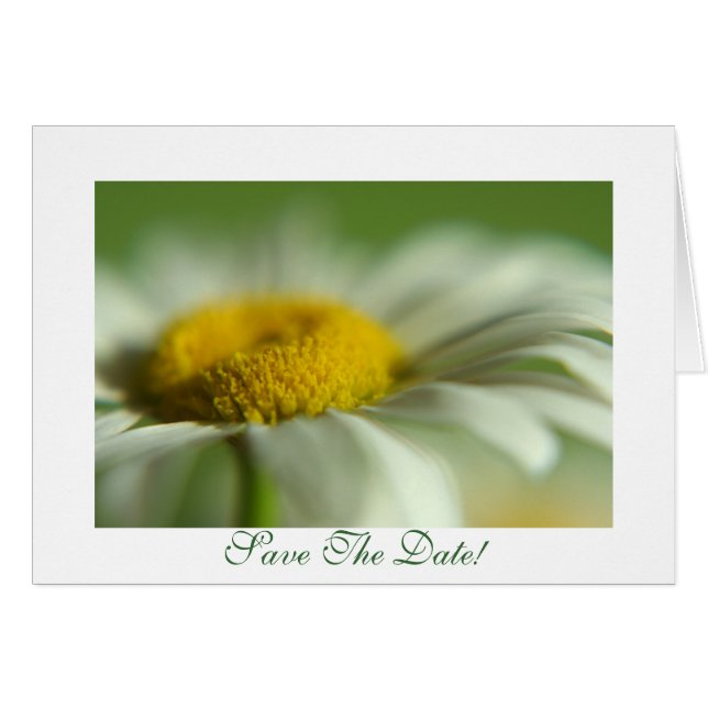 Fresh Daisy (Front Horizontal)