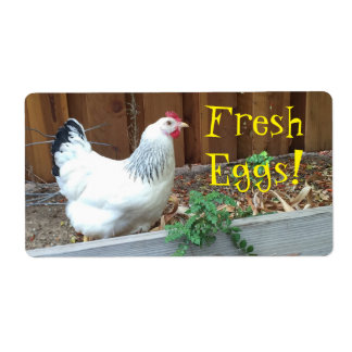 Fresh Eggs