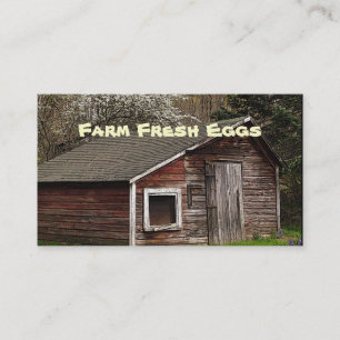 Fresh Eggs Business Card