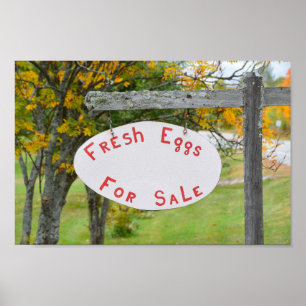 Fresh Eggs For Sale in Vermont Sign