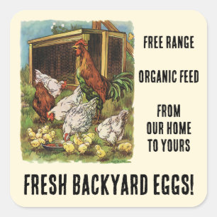 Fresh Eggs from our Backyard Chickens for Sale! Square Sticker