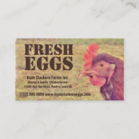 Fresh  Eggs - Red hen Layer Chicken