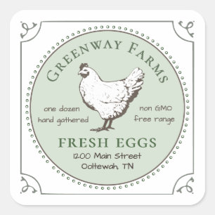 FRESH EGGS vintage hen with border green on white Square Sticker