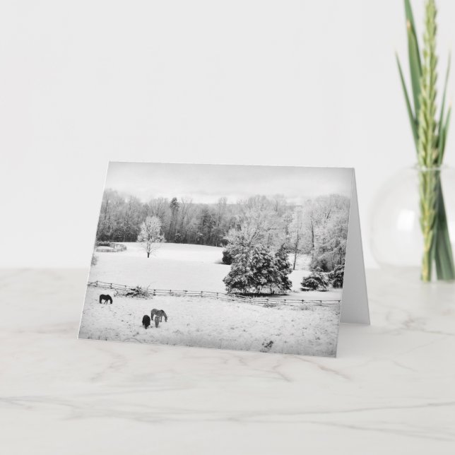 Fresh Fallen Snow at the Horse Ranch Card (Front)