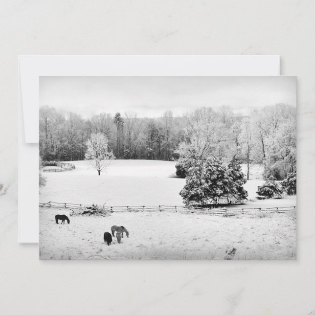 Fresh Fallen Snow at the Horse Ranch Holiday Card (Front)