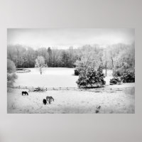 Fresh Fallen Snow at the Horse Ranch