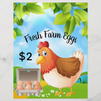 Fresh Farm Eggs Business Promotional Flyer
