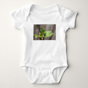 Fresh Fig Leaf Baby Bodysuit