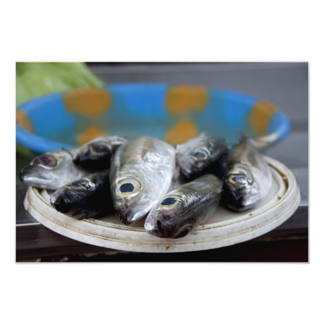 Fresh fish on fish market Mercado de Peixe), Photo Print (Front)