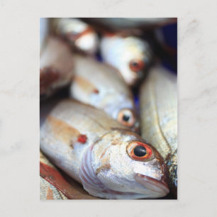 Fresh fish postcard