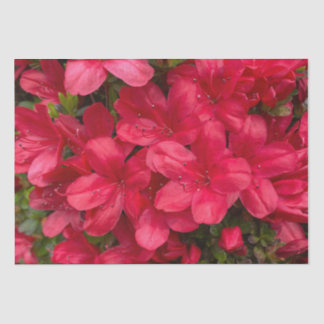 Fresh Floral Tissue Paper