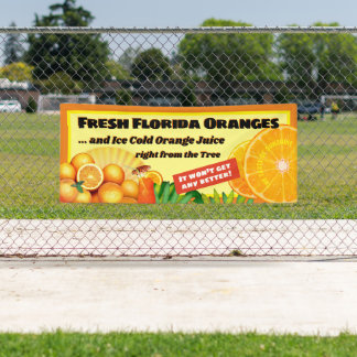 Fresh Florida Oranges Banner