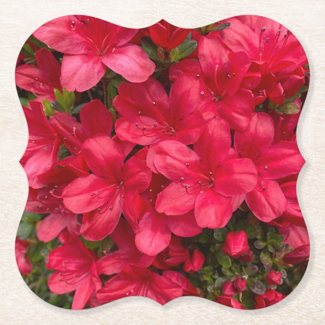 Fresh Flower Coaster (Front)
