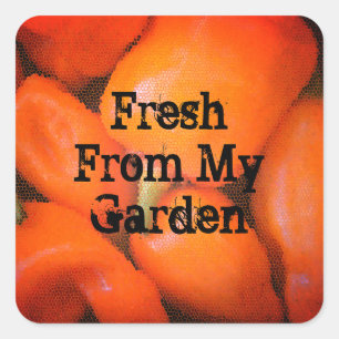 Fresh From Garden Mosaic Orange Chili Peppers Square Sticker