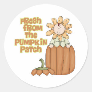 Fresh From Pumpkin Patch Baby Announcement Classic Round Sticker