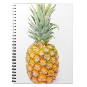 Fresh fruit healthy natural notebook