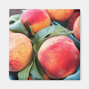 Fresh Fruit - Peaches Magnet