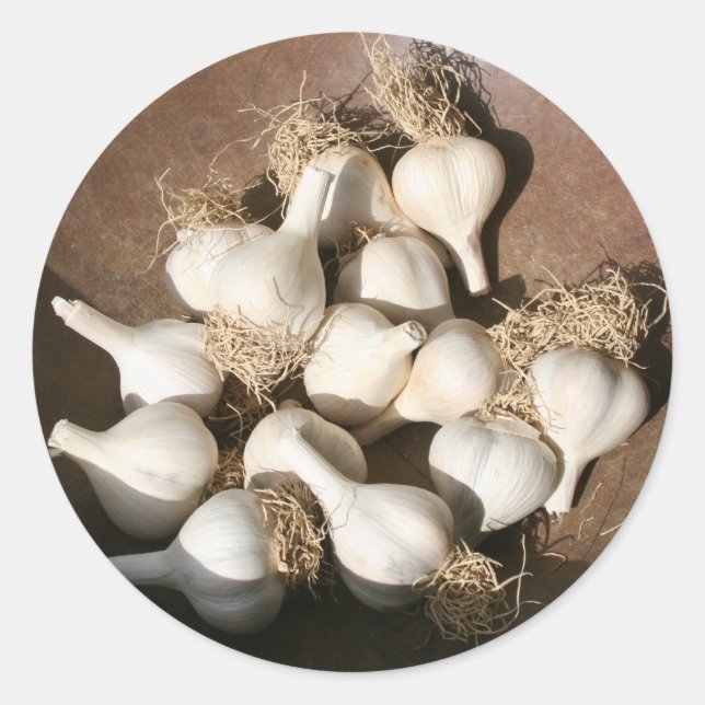 Fresh Garlic at Shaker Square Farmers Market Classic Round Sticker (Front)
