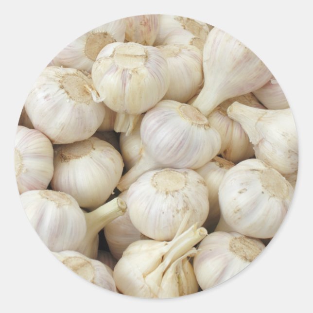Fresh Garlic Bulbs Classic Round Sticker (Front)