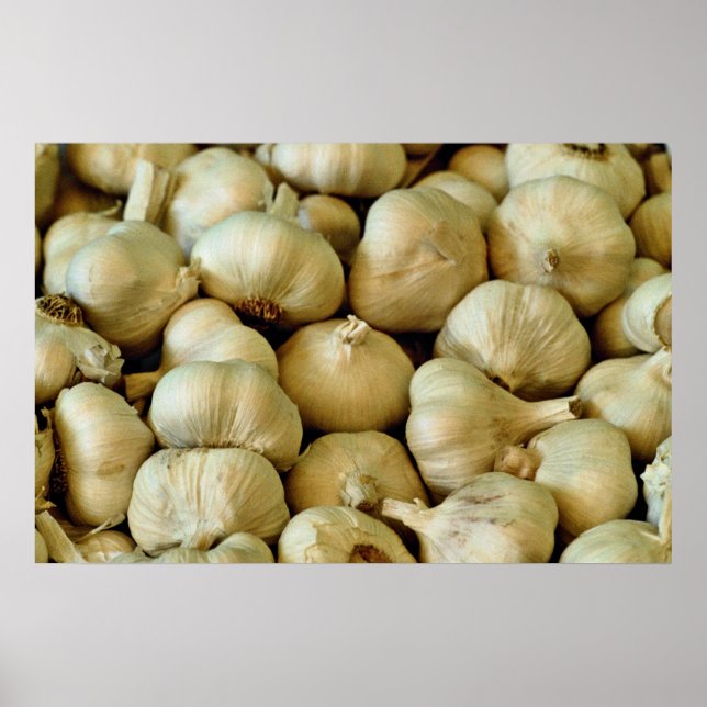 Fresh garlic Photo Poster (Front)