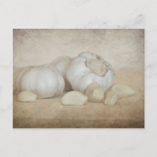 Fresh Garlic Postcard