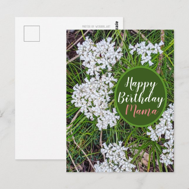 Fresh Green and White flowers Happy Birthday Mama Postcard (Front/Back)