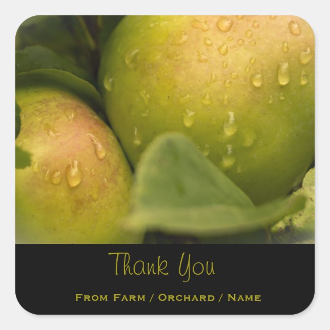 Fresh Green Apples with a Misty Border Thank You Square Sticker (Front)