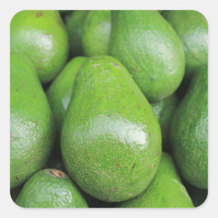 Fresh green avocados fruit square sticker