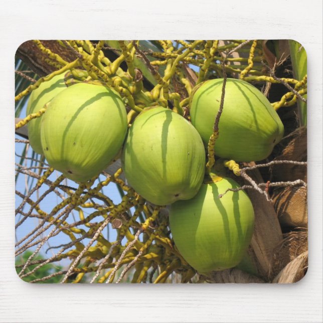 Fresh Green Coconuts Mouse Mat (Front)