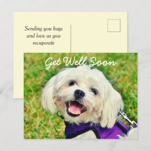 Fresh Green Dog and Encouragement Get Well  Postcard