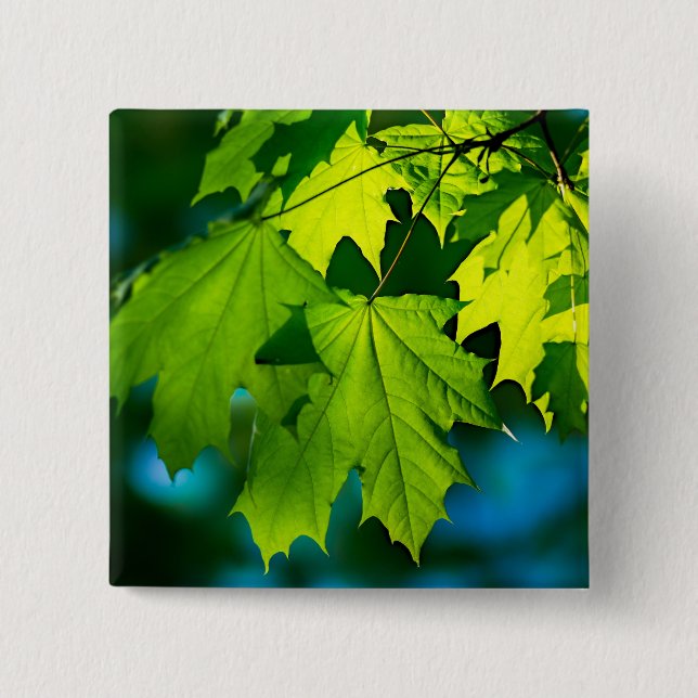 Fresh green maple leaves 15 cm square badge (Front)