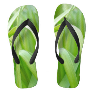Fresh Green Plant Leaves Flip Flops