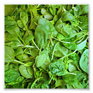 Fresh green spinach salad pattern photo print