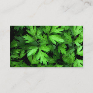 Fresh Herb Market Business Card