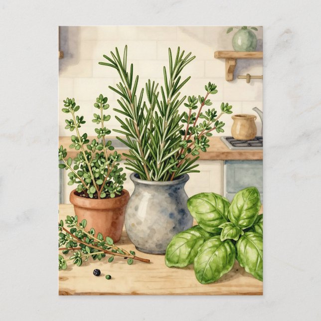 Fresh Kitchen Herbs Watercolor  Postcard (Front)