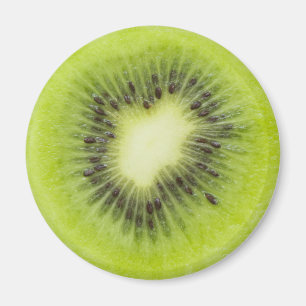 Fresh kiwi fruit. Round slice closeup isolated Magnet