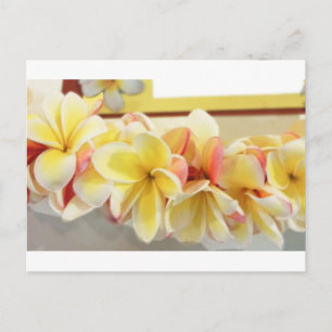 Fresh Lei # 7 Postcard