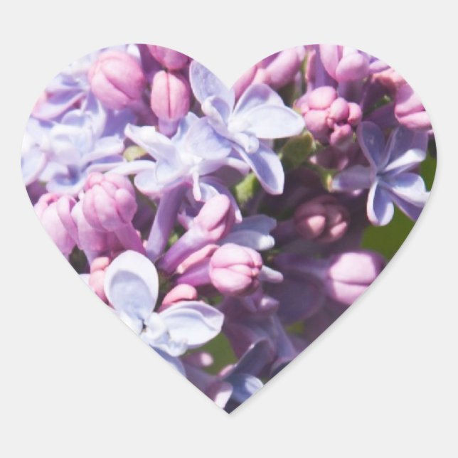 Fresh Lilacs Heart Sticker (Front)
