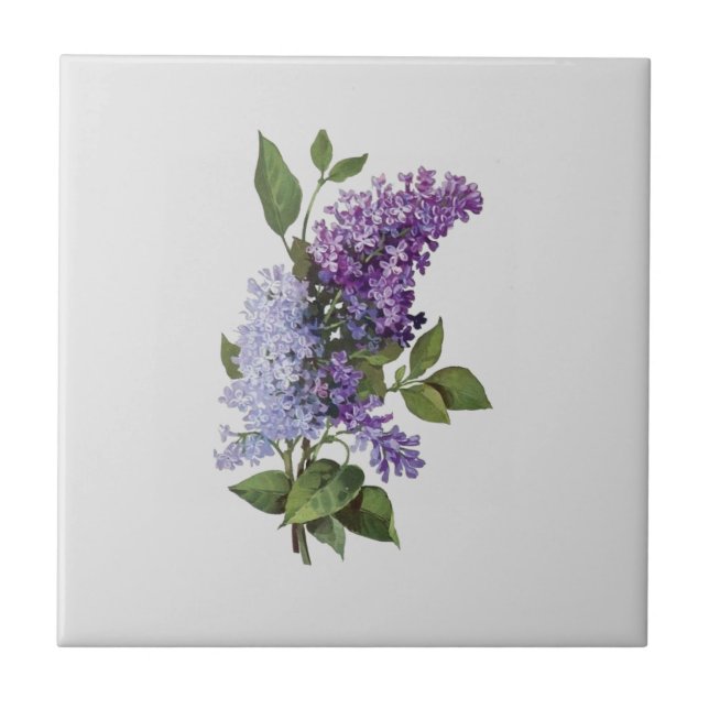 Fresh Lilacs on grey - French Country Home Decor  Tile (Front)